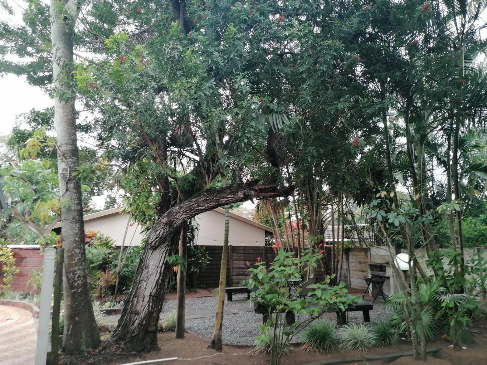 Nqabanqaba Bed & Breakfast Richards Bay Luaran gambar